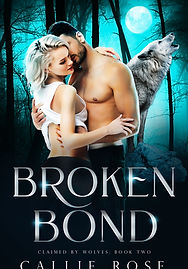 Broken_Bond_REDO.jpeg