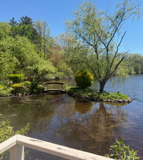 15. full view pond.jpg
