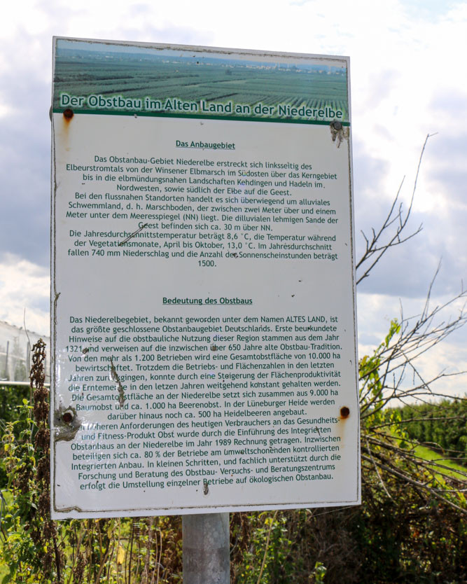 Infotafel zum Obstanbau am Obstlehrpfad in Jork