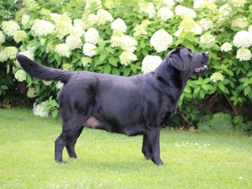 Die Ruhe vor dem Sturm