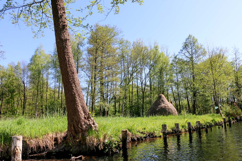 Heuschober auf Wiesen zwischen den Fließen im Spreewald