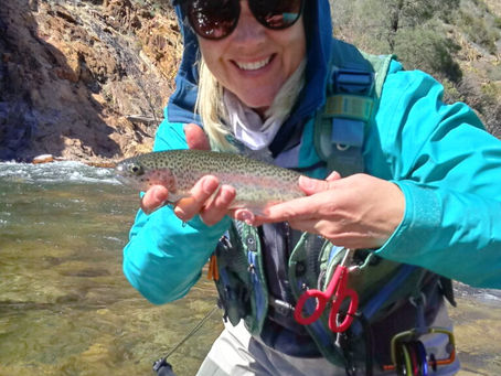 Catch and Release?