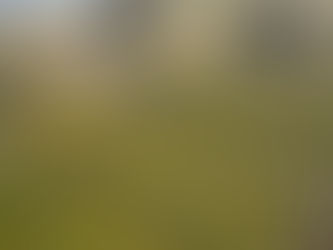 Your Guide to Camping, Adventure & River Magic at Kern River’s Edge Campground