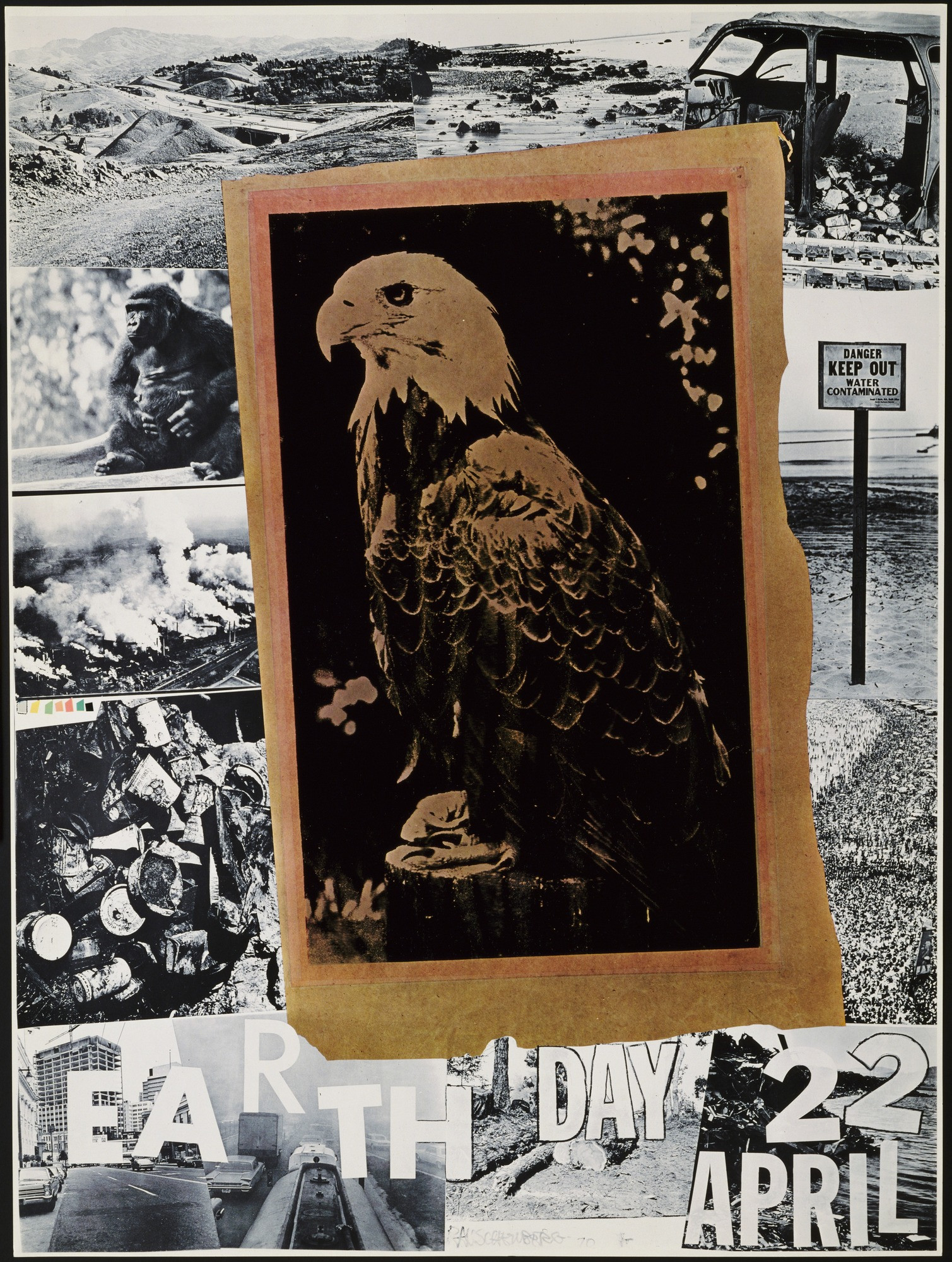 ROBERT RAUSCHENBERG