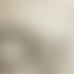 Pabulum Illustrator: Illustrations by Emily Robert-Yohalem