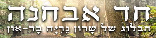 שרון בן נריה