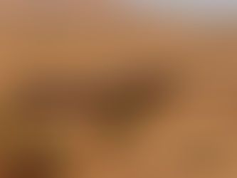 DESERT-EXPRESS 2D/1N