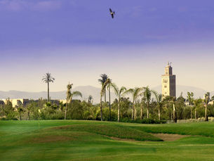 MONTGOMERY GOLF