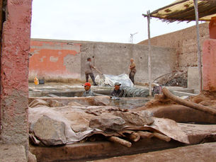 MARRAKECH TROUGH TIME.
