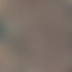 Artistic Realistic Image Fes