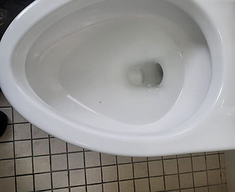 cleaned toilet