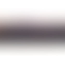 Ein neuer Sandan und Godan für Kenshikan!