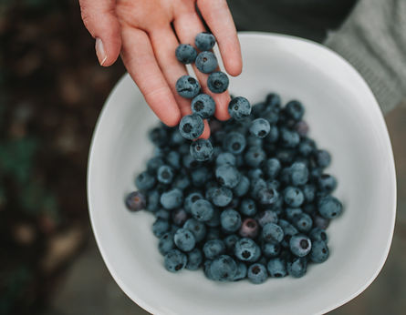 benjamin-finley-iMeMlNZBcso-unsplash_edi