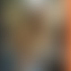 Fall Protection:
Insight into the Construction Industry’s
Efforts to Fight Its no. 1 Killer