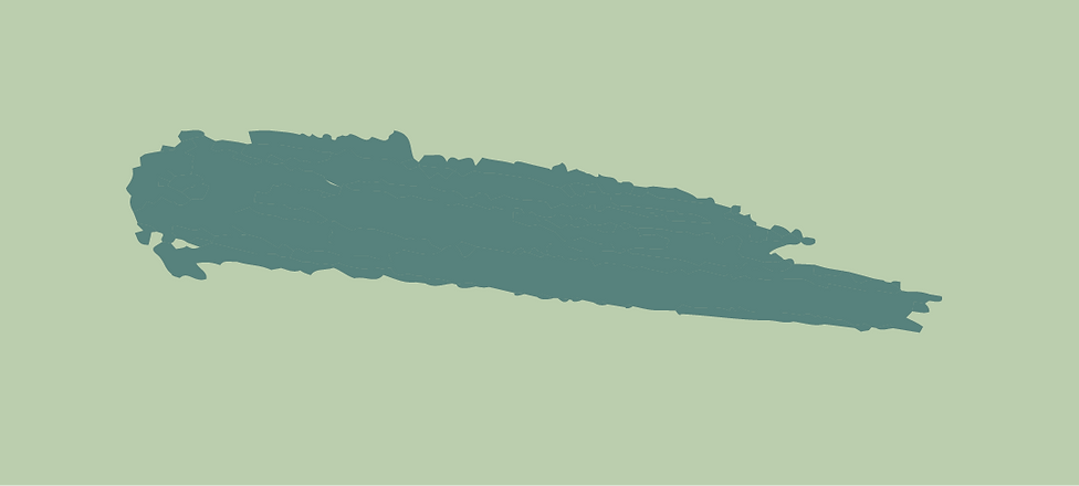 Asset 2_1.png