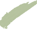 Asset 10.png
