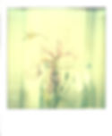 Untitled IX