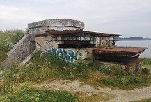 IMG_20200610_082459.jpg