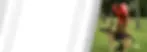 tmpapt49n33.webp