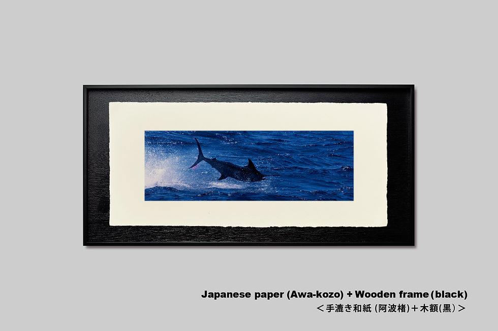 サムネイル： 手漉き和紙,写真,海,風景,魚,カジキ,ジャンプ,釣り,横長,インテリアフォト,アートフレーム,壁掛け,壁飾り,装飾,オリジナルプリント,フォトフレーム,プレゼント,和室