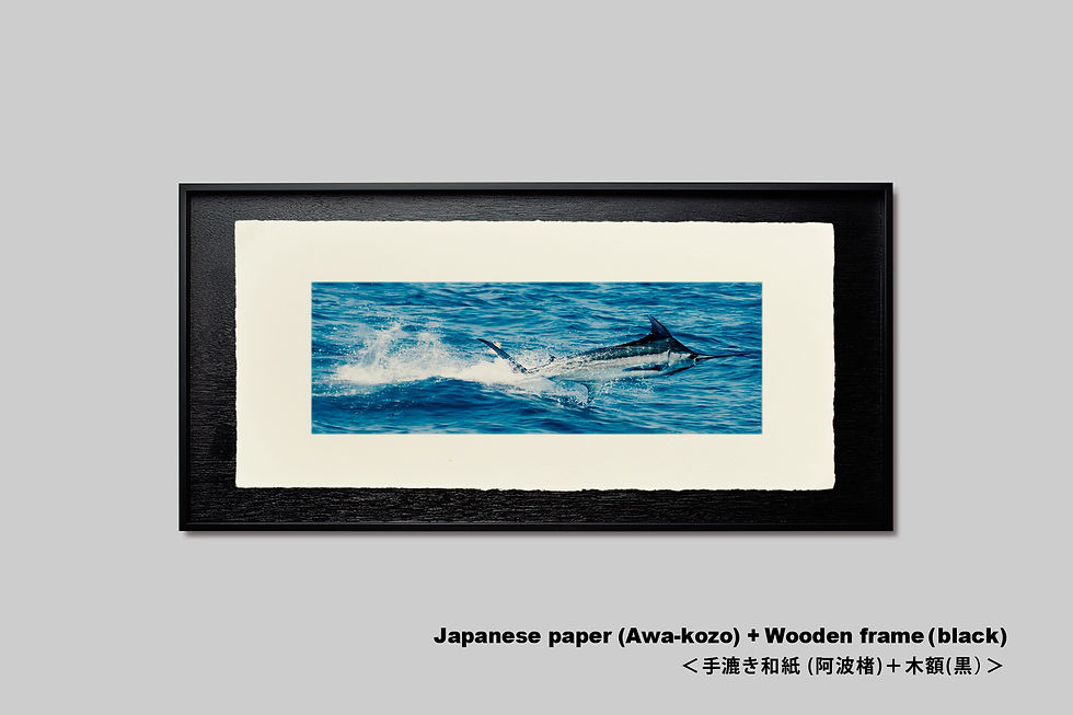 サムネイル： 手漉き和紙,写真,海,風景,魚,カジキ,ジャンプ,釣り,インテリアフォト,和室,横長,アートフレーム,壁掛け,壁飾り,装飾,オリジナルプリント,フォトフレーム,プレゼント