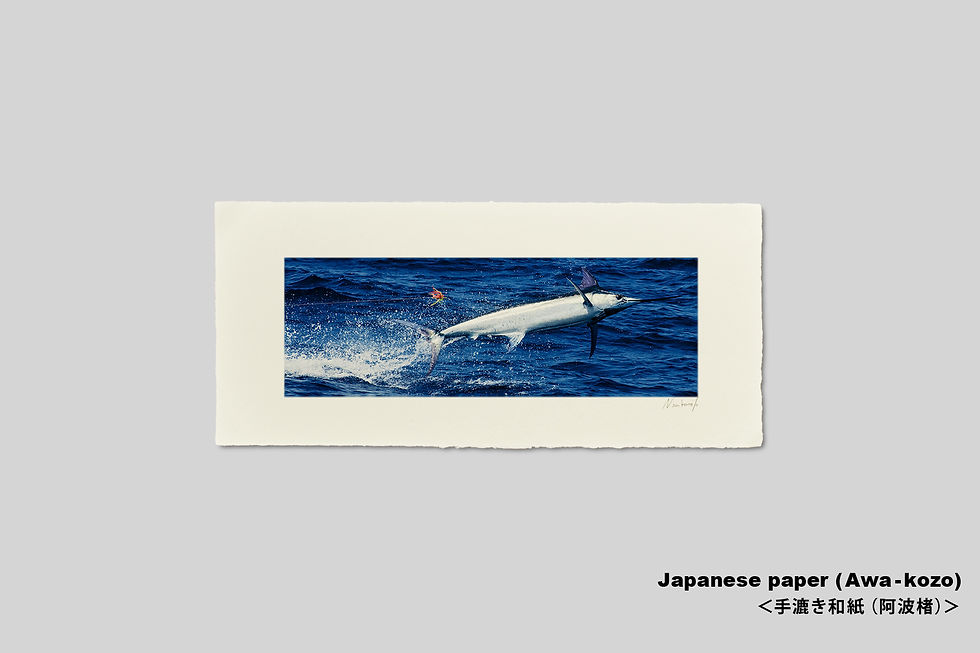 サムネイル： カジキマグロ,ジャンプ,手漉き和紙,写真,海,風景,魚,釣り,インテリアフォト,アートフレーム,和室,横長,壁掛け,壁飾り,装飾,オリジナルプリント,フォトフレーム,プレゼント