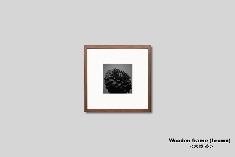 サムネイル： 花の写真,ダリア,インテリア,モノクロ,正方形,新築祝い,プレゼント,フラワー,インテリアフォト,アートポスター,額入り,額装,フォトフレーム,おしゃれ,モダン,壁掛け,壁飾り,装飾