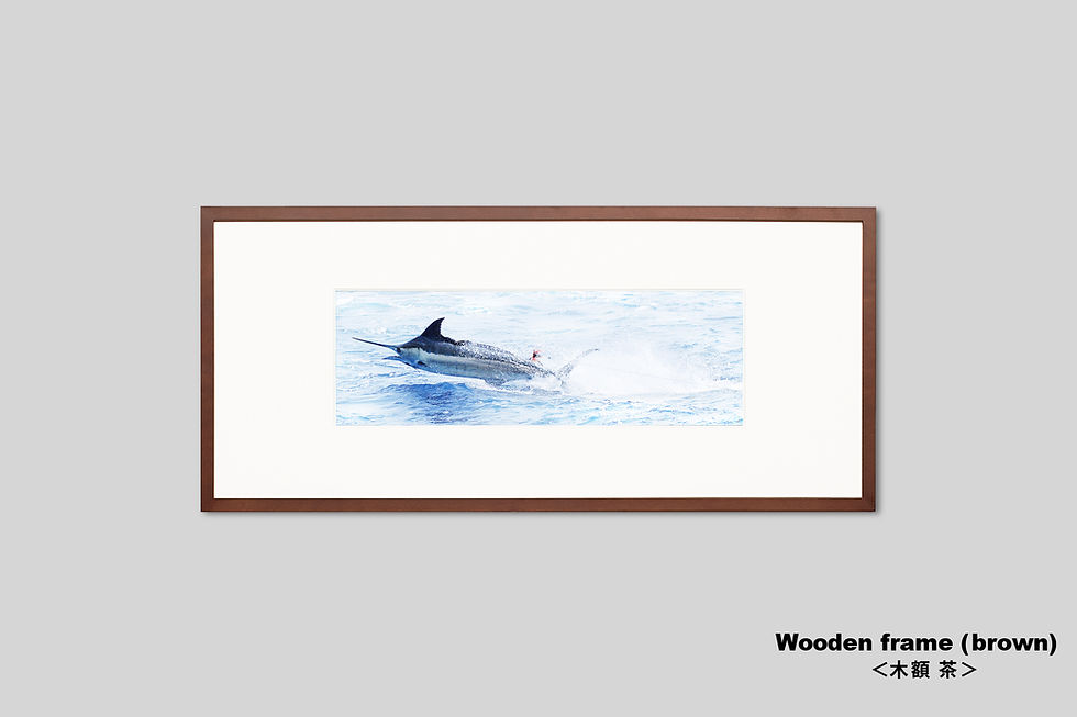 サムネイル： インテリア,写真,海,魚,カジキ,ジャンプ,風景,自然,釣り,インテリアフォト,アート,額入り,額装,オリジナルプリント,アートフレーム,フォトフレーム,壁掛け,壁飾り,装飾,ウォールアート