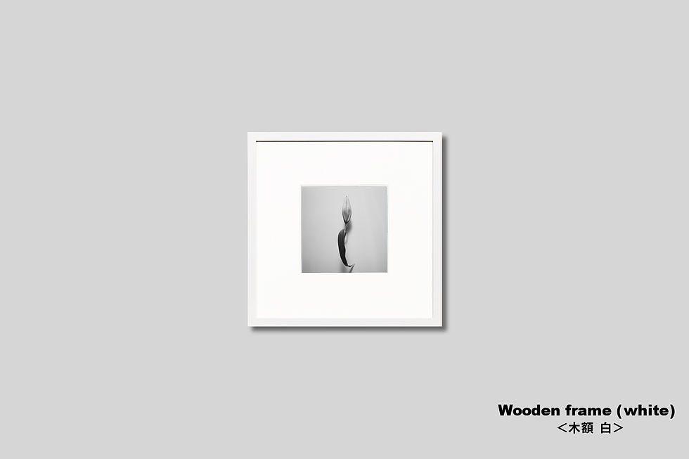 サムネイル： 写真,花,フラワー,インテリアフォト,モノクロ,ユリ,オリジナルプリント,額入り,額装,正方形,アートフレーム,フォトフレーム,新築祝い,プレゼント,おしゃれ,モダン,壁掛け,壁飾り,装飾