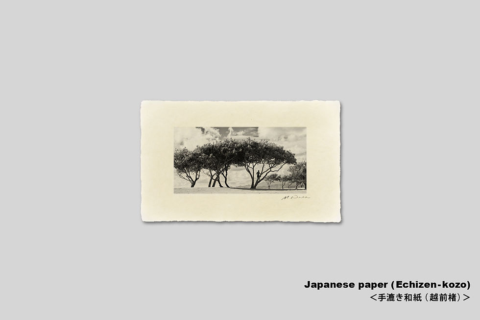 サムネイル： 写真,ハワイ,インテリア,モノクロ,オアフ島,クアロア,海,ビーチ,公園,リゾート,南の島,南国,アート,写真販売,手漉き和紙,和モダン,ギャラリー,額入り,額装,プレゼント,おしゃれ,IGREBOW