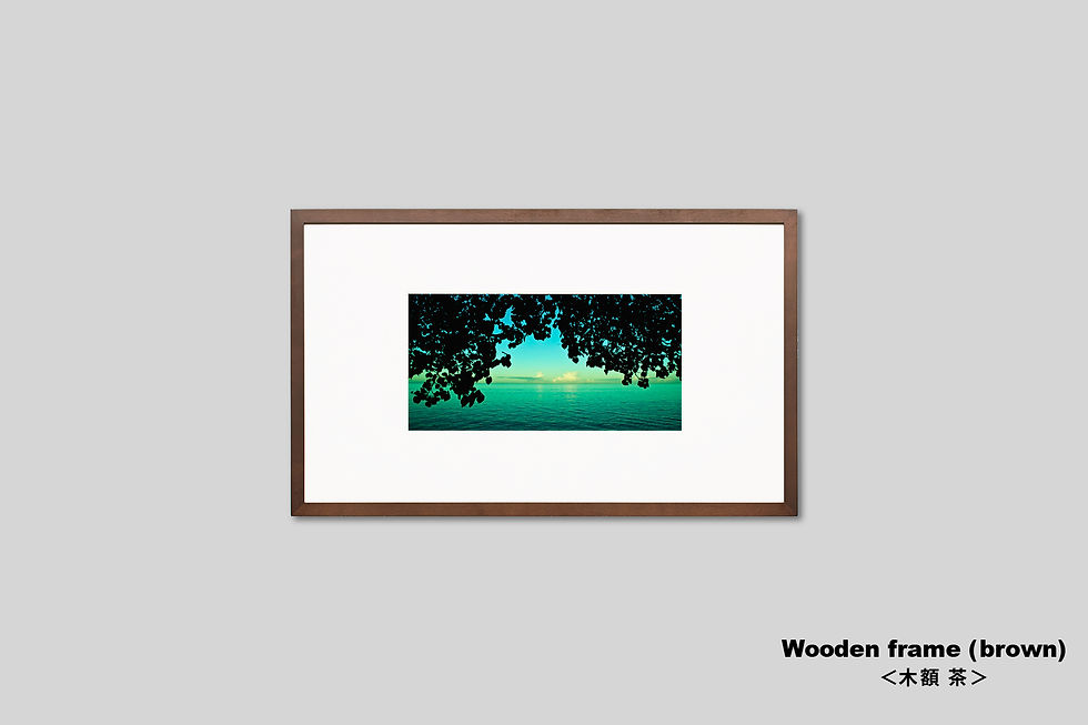 サムネイル： 写真,インテリア,風景,海,ビーチ,自然,木,トロピカル,インテリアフォト,アート,額入り,額装,オリジナルプリント,アートフレーム,フォトフレーム,おしゃれ,モダン,壁掛け,壁飾り,装飾,部屋飾り,アートポスター,ギフト
