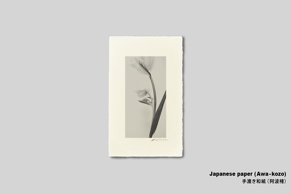 サムネイル： 和室,インテリアフォト,手漉き和紙,花の写真,チューリップ,モノクロ,額装,壁掛け,フラワー,モダン,おしゃれ,オリジナルプリント,アートポスター,アートフレーム,壁飾り,新築祝い,プレゼント
