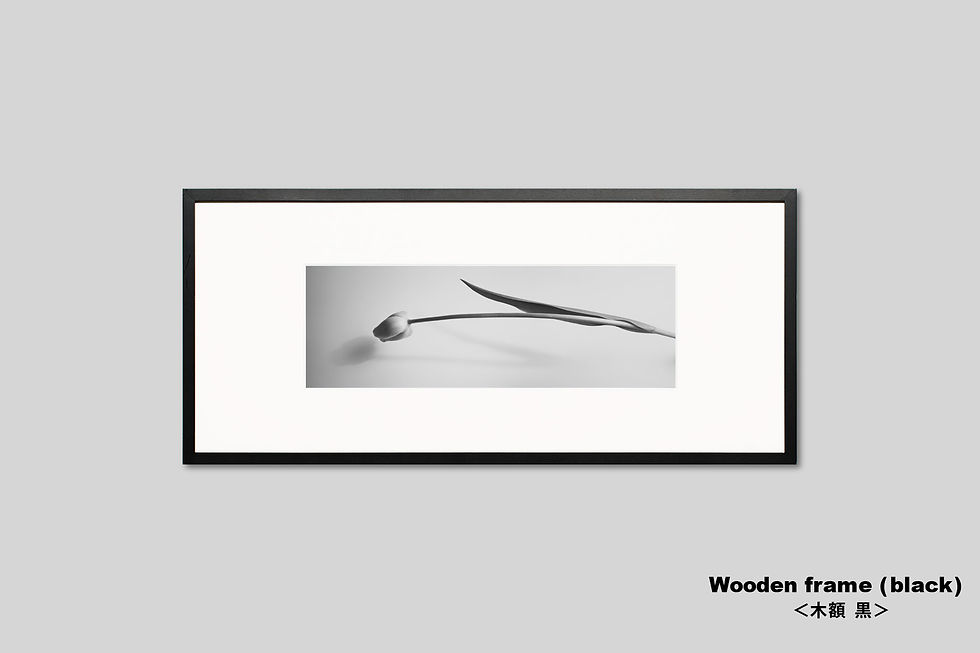 サムネイル： 写真,花,インテリア,チューリップ,モノクロ,横長,インテリアフォト,アート,額入り,額装,アートフレーム,フォトフレーム,おしゃれ,モダン,プレゼント,新築祝い,壁掛け,壁飾り,装飾,ギャラリー