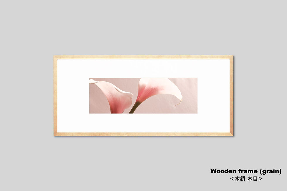 サムネイル： 花の写真,カラー,ピンク,インテリア,額入り,横長,額装,壁掛け,新築祝い,プレゼント,フラワー,インテリアフォト,アート,オリジナルプリント,アートフレーム,フォトフレーム,おしゃれ,モダン,壁飾り,装飾