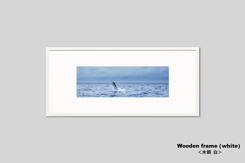 サムネイル： インテリア,写真,海,魚,カジキ,風景,自然,ジャンプ,インテリアフォト,アート,額入り,額装,オリジナルプリント,アートフレーム,フォトフレーム,壁掛け,壁飾り,装飾,ウォールアート