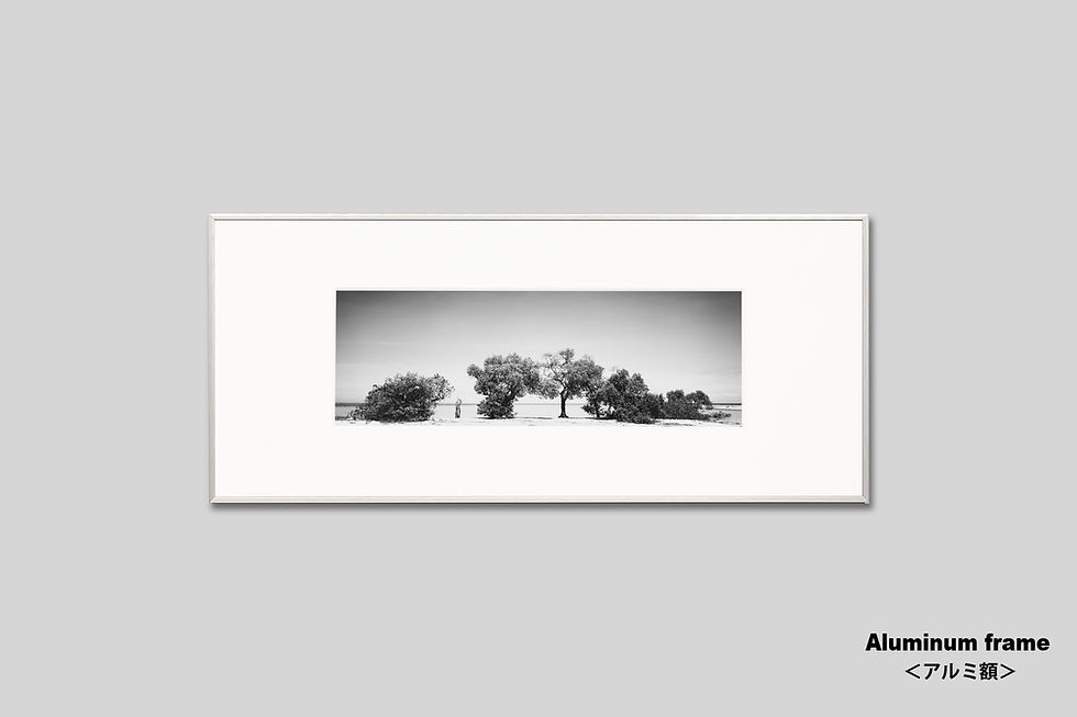 サムネイル： 写真,海,ビーチ,新築祝い,プレゼント,おしゃれ,ニューカレドニア,インテリア,風景,木,モノクロ,横長,インテリアフォト,アート,額入り,額装,オリジナルプリント,アートフレーム,フォトフレーム,壁掛け,壁飾り,装飾,モノクロ,アートポスター