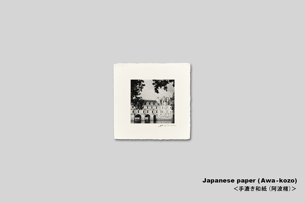 サムネイル： 手漉き和紙,インテリア,写真,フランス,城,古城,ロワール,建築物,アート,インテリアフォト,モノクロ,正方形,額装,壁掛け,おしゃれ,プレゼント,モダン,オリジナルプリント,アートポスター,アートフレーム,壁飾り,装飾,新築祝い,ウォールアート
