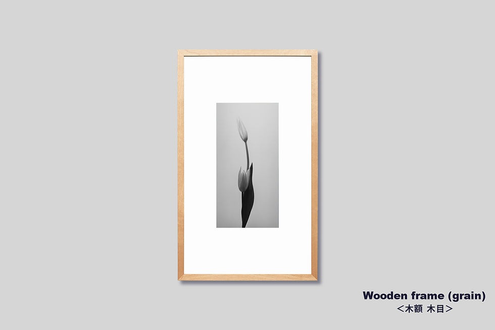 サムネイル： 花,チューリップ,インテリア,写真,おしゃれ,フラワー,インテリアフォト,アート,モノクロ,額入り,額装,オリジナルプリント,アートフレーム,フォトフレーム,モダン,壁掛け,壁飾り,装飾