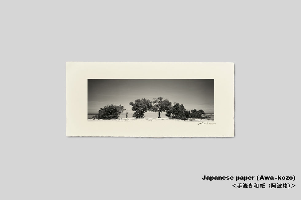 サムネイル： 手漉き和紙,写真,インテリア,海,ビーチ,風景,横長,ニューカレドニア,木,インテリアフォト,アート,モノクロ,壁掛け,オリジナルプリント,おしゃれ,アートフレーム,モダン,壁飾り,装飾,額入り,額装,新築祝い,プレゼント