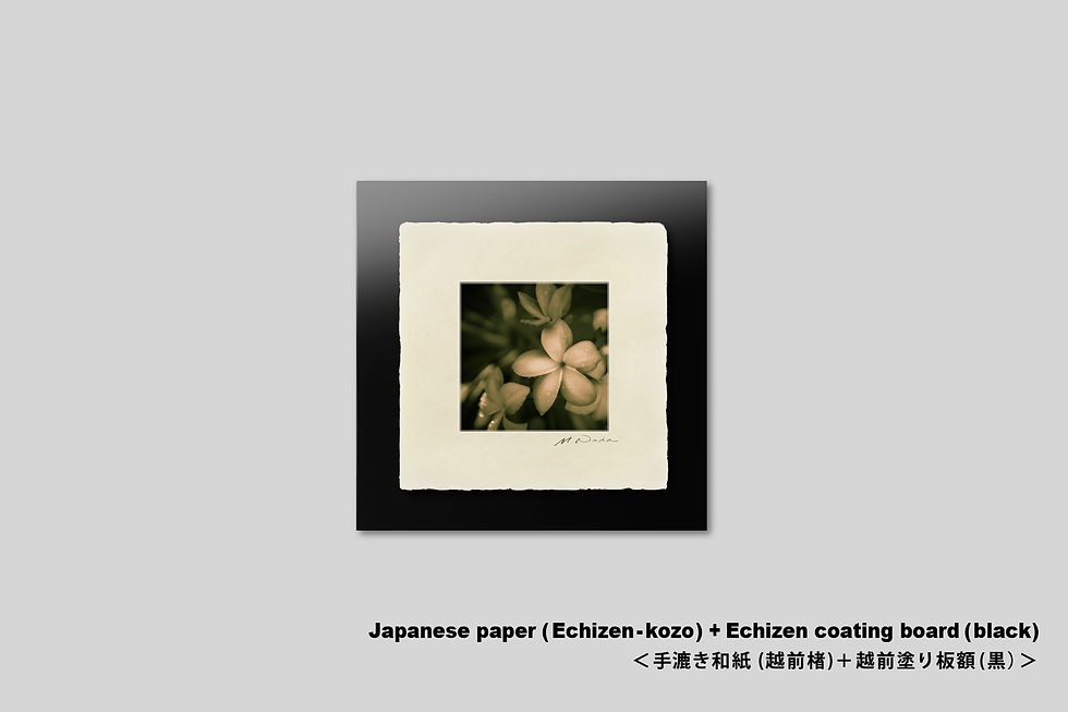 サムネイル： 写真,花,プルメリア,ハワイ,インテリアフォト,おしゃれ,プレゼント,トロピカル,南国,手漉き和紙,和モダン,和室,アート,正方形,額入り,ギャラリー,壁掛け,額装,額縁,写真販売,IGREBOW