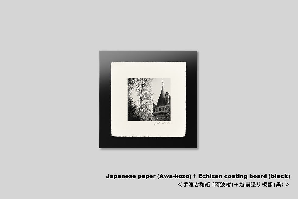 サムネイル： フランス,古城,城,手漉き和紙,インテリア,写真,風景,建築物,アート,おしゃれ,モダン,正方形,モノクロ,額装,壁掛け,プレゼント,インテリアフォト,オリジナルプリント,和室,アートポスター,アートフレーム,壁飾り,装飾,新築祝い,ウォールアート