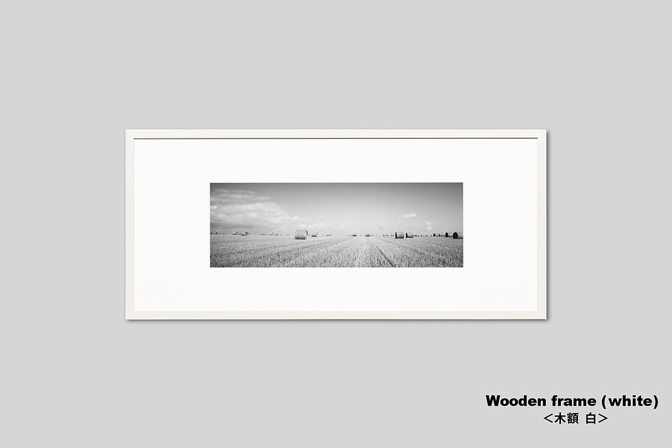 サムネイル： 写真,フランス,田園風景,インテリア,モノクロ,横長,ブルターニュ,干草,牧草地,インテリアフォト,IGREBOW,GallerySBアート,額入り,額装,オリジナルプリント,アートフレーム,フォトフレーム,おしゃれ,モダン,壁掛け,壁飾り,新築祝い