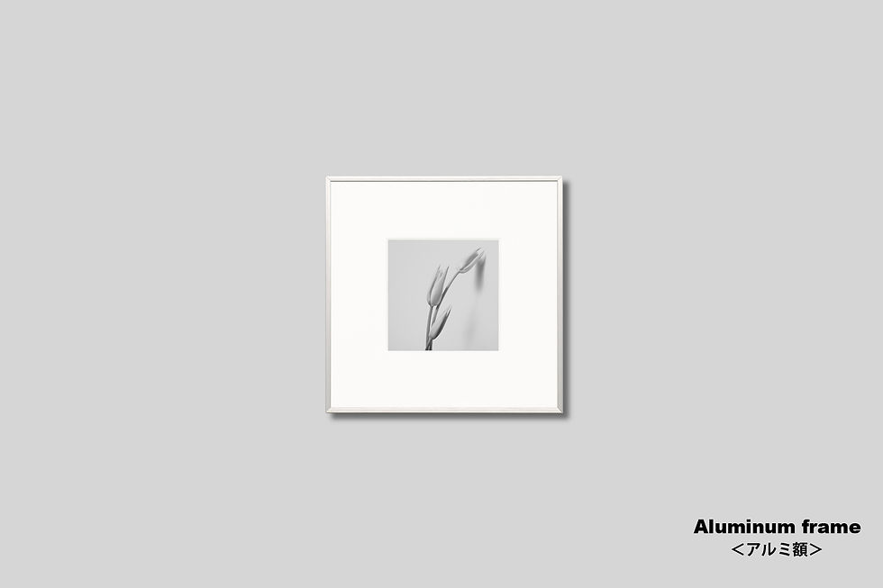 サムネイル： 花,チューリップ,インテリアフォト,写真,モノクロ,オリジナルプリント,額入り,額装,壁掛け,アートポスター,フォトフレーム,正方形,新築祝い,プレゼント,おしゃれ,モダン,壁飾り,装飾