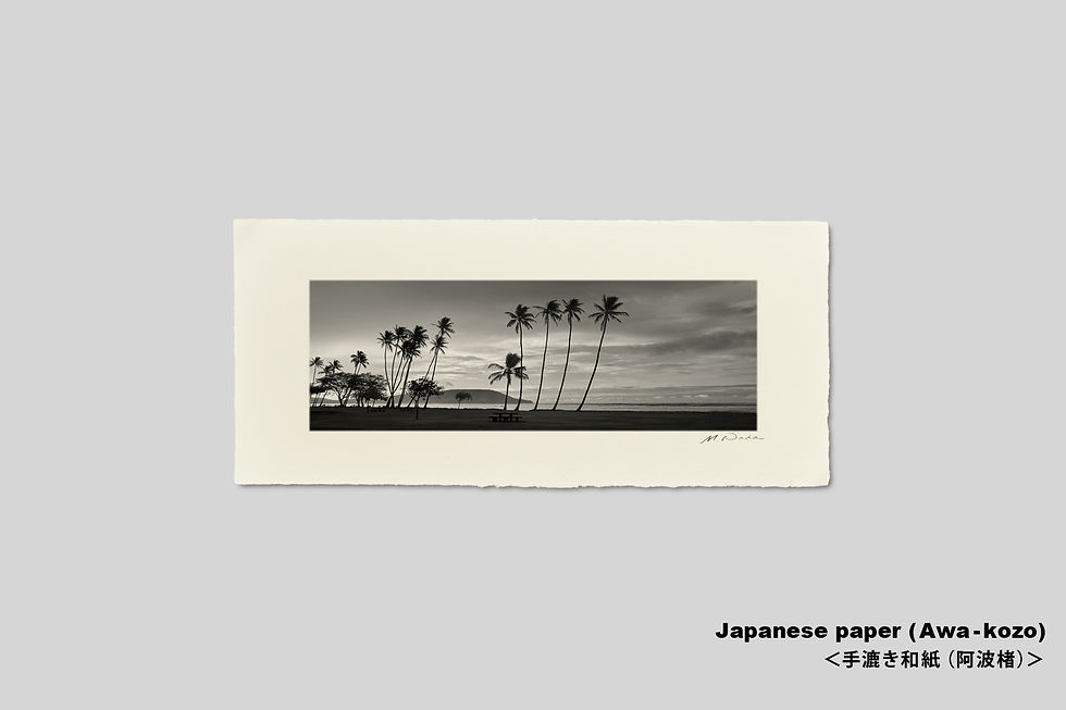 サムネイル： 写真,ハワイ,海,インテリアフォト,ビーチ,ヤシの木,風景,オアフ島,トロピカル,リゾート,南の島,南国,アート,額入り,額装,手漉き和紙,オリジナルプリント,モノクロ,横長,フレーム,おしゃれ,プレゼント,壁掛け,壁飾り