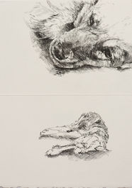 Ink ball point pen paper drawing technique detail cross hatching dog head