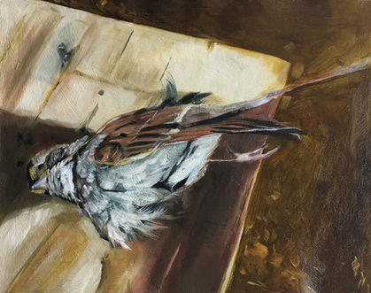 dead bird oil painthing earth tones canvas photography