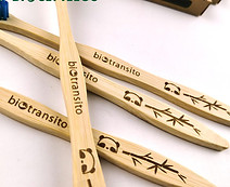 Cepillos de Dientes de Bambu - Biotransito