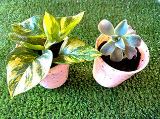 Organic Pots 100%_edited.jpg