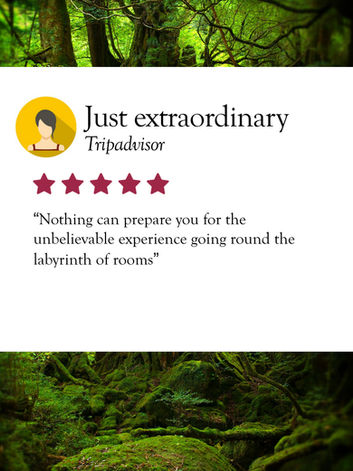 Five-star Tour Testimonial for Talliston