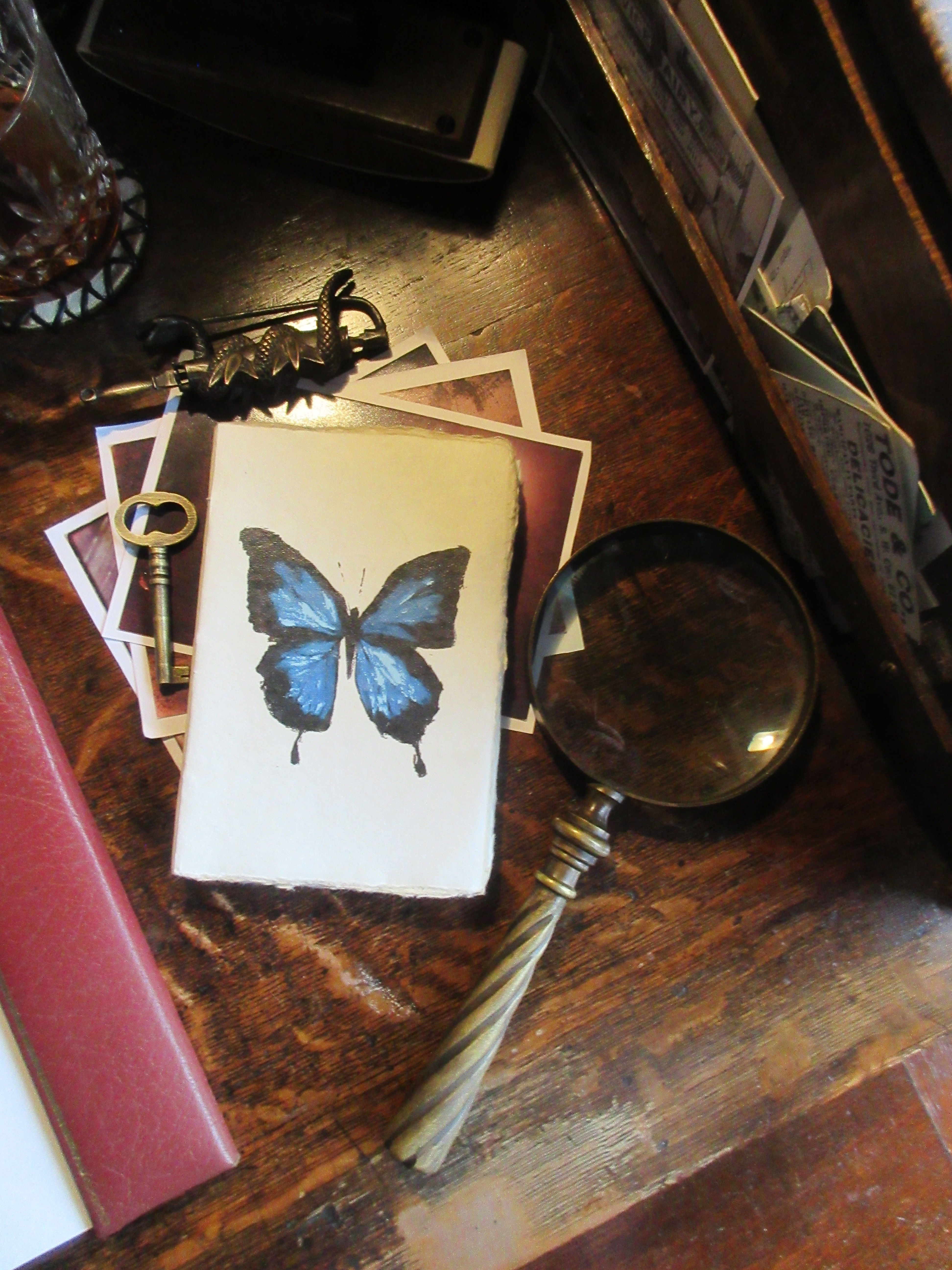 Blue Butterfly Parchment Book